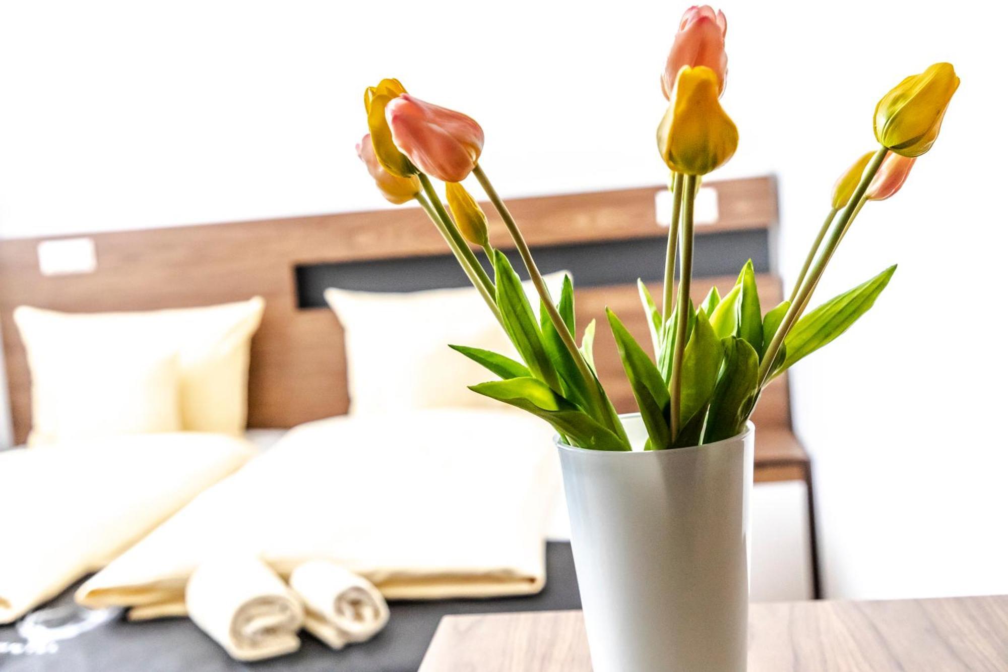 Hotel Jaegerhaus In Singen Am Hohentwiel Ngoại thất bức ảnh